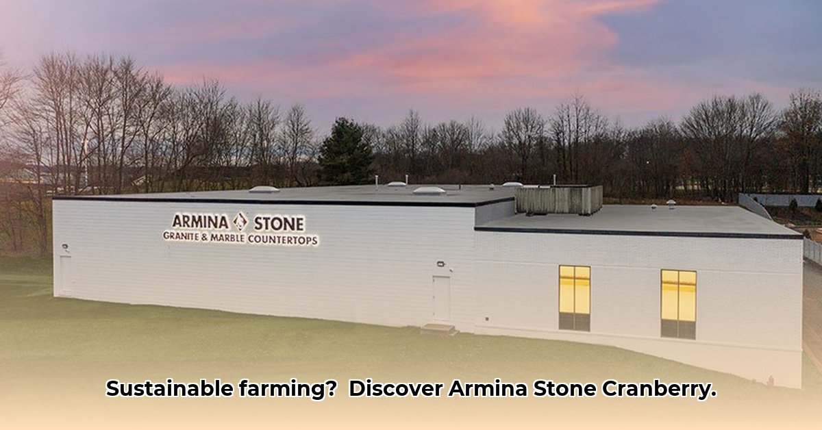 armina-stone-cranberry